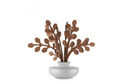 Candle The Five Seasons photo 9