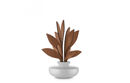 Candle The Five Seasons photo 11