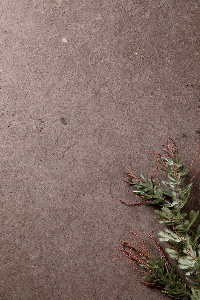 Collection Mystone - Moon photo 10