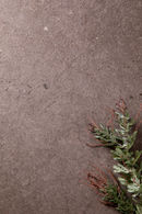 Collection Mystone - Moon photo 10