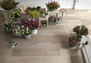 Collezione Woodsense photo 2