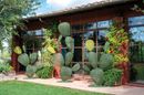Sculpture Ficus photo 1