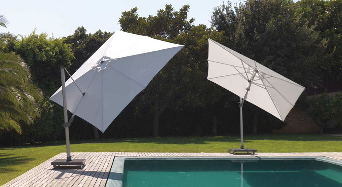 Parasol Venere photo 2