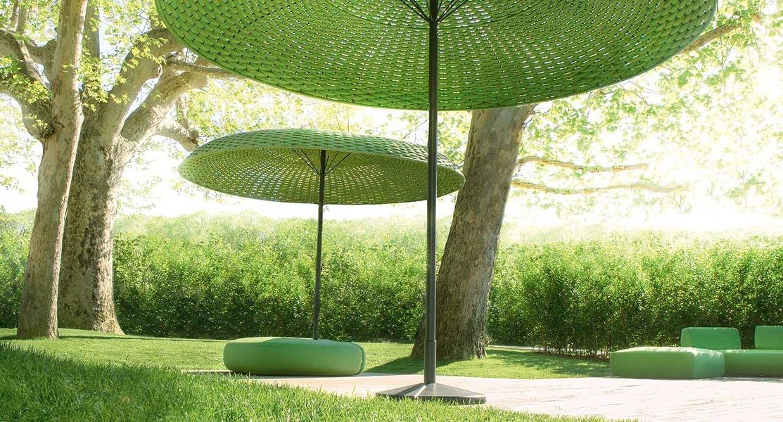 Parasol Mogambo photo 4