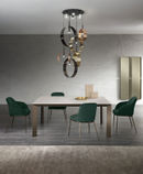 Tisch Manhattan [a] photo 5