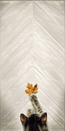 Collezione Whole photo 5