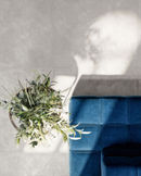 Collezione Evolution photo 0