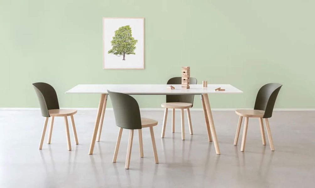 Chaise Alpina photo 5