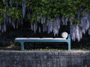 Lettino Dharma photo 3