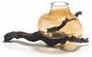 Vaso Sedimenti photo 1