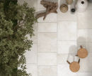 Collezione Trani photo 2
