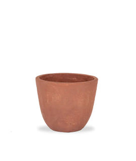 Sole Vase