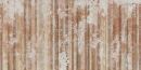 Carta da parati Metal Plus: Domus Aurea photo 2