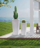 Vaso Kiam photo 0