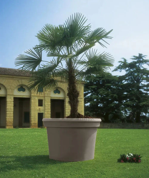 Vaso Cilindro Rot photo 1