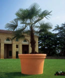 Vaso Cilindro Rot photo 0