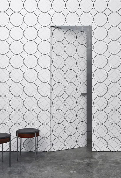 Door Rasomuro 55S photo 1
