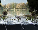 Decanter Merlot photo 2