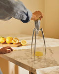 Alessi