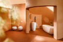 Wc e bidet IlBagnoAlessi [b] photo 3