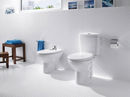 WC and bidet Neo Victoria photo 0