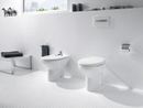 WC and bidet Neo Victoria photo 1