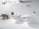 WC and bidet Neo Victoria photo 2