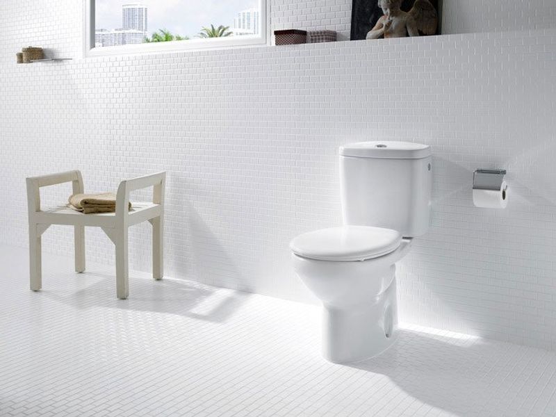 Wc e bidet Neo Victoria photo 3