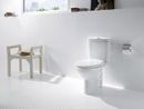 WC and bidet Neo Victoria photo 3
