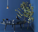 Set Vega photo 3