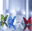 Statuetta Papillon Portafortuna photo 2