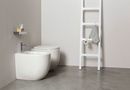 Wc e bidet Milk photo 3