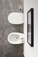 Wc e bidet Milk photo 2