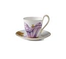 Servizio the Morning Glory photo 0