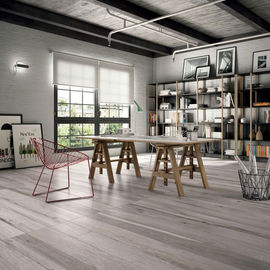 Collezione Soleras