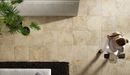 Collezione Instone photo 1