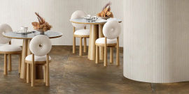 Collezione Aster Maximum