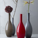 Vaso Beauty photo 2