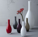 Vaso Beauty photo 3