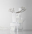 Vaso Lucca photo 3
