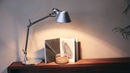Lampada Tolomeo Micro photo 3