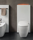 Modulo Monolith Plus per WC [b] photo 0