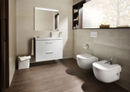 Wc and bidet New-Meridian photo 1