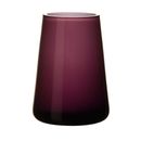 Vaso Numa photo 3