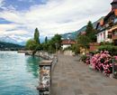 Collezione Pietre Alpine photo 1