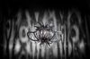 Lamp Medusa Pewter photo 0