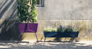 Pflanzenkübel Basket photo 2