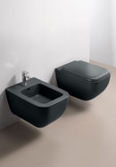 Wc e bidet Shui Comfort photo 2