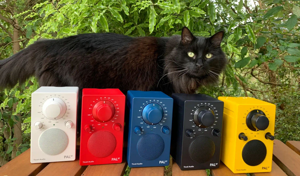 Radio PAL BT photo 1