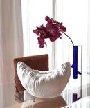 Vaso Root photo 1